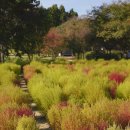 애견가을농장 이미지