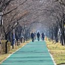 오학 걷고싶은거리 이미지