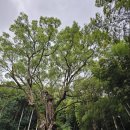 계절이 지나가는 하늘 이미지