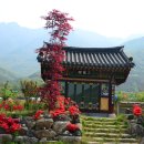 여명사