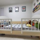 레인보우데이