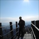 망 조 대 이미지