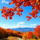 배화어린이집 이미지