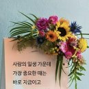 홍산농장 이미지