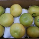 유림청과 이미지