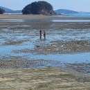 월하성어촌체험마을 이미지