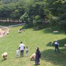 초원축산 이미지