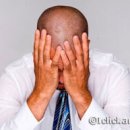 늑대와 여우 이미지