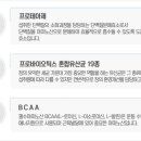 프로틴스토리