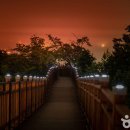 절영마 및 조내기를 | 부산 영도 청학배수지 전망대 | 부산항대교 야경과 절영마 포토존 명소