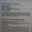 [안면도 자연휴양림] [해미읍성] [털보네 정육식당] 가족여행 3탄