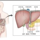 하이리빙 프로슈머 이미지
