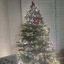 트리트멍멍 이미지