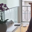 함께하는정진 1168일차입니다 이미지
