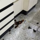 상지대학교 이미지