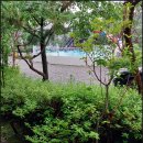 푸릇푸릇펜션 이미지