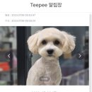 댕발소 이미지