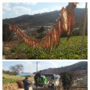 고막농장 이미지