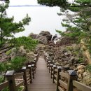 장고도8 이미지