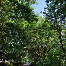 중랑천 제1체육공원 이미지