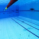 변원석 | (후기)[2021년 6월 6일] BMC프리다이빙센터&#34;창원실내수영장/창원풀장 교육 후기!!(경남 마산 진해 진주...