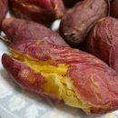 거산테크 | 앱테크 노리팜 작물 배송 후기 - 꿀고구마
