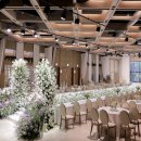 파티오-25 이미지