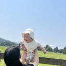 이도목장 이미지