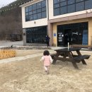 애니멀프렌즈힐링스토리