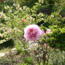 변산농장2 이미지