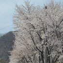 청평1리 마을회관 이미지