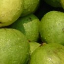 선아 농장 이미지