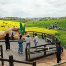 고창이네 이미지