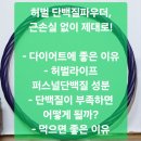 다이어트벨리댄스(취미과정 / 주간) | 허벌 퍼스널 단백질파우더, 근손실 없이 제대로!