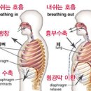 리;숨필라테스