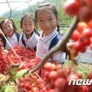 아이사랑영농조합법인