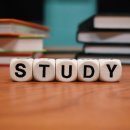 동일자연어린이집 이미지