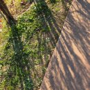 오천농협 공중화장실 | 안성팜랜드 11월 핑크뮬리 팜랜드 후기 입장권 할인 받는 방법