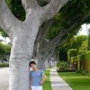 비버리 힐 이미지