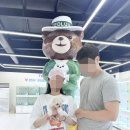 강아지분양 테디럽 이미지