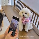 소담동물병원 이미지