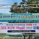 나무와중학교 이미지