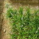 만성농장 이미지