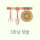 푸릇푸릇해