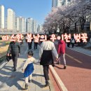 세븐일레븐쌍문한일병원점 | 우이천 벚꽃 아이와 함께한 봄 나들이 (서울 벚꽃 명소 다녀온 후기)