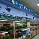 아이 러브 펫 이미지