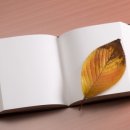 명문국어논술학원 이미지