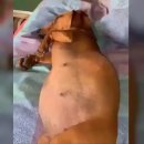 조각공인중개사사무소 이미지