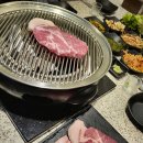 곡성집