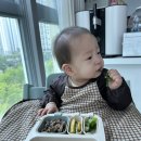 297 | 육아 기록 3) D+297 잘 먹는 아이 후기 토핑 이유식 만들기